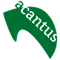 Acantus